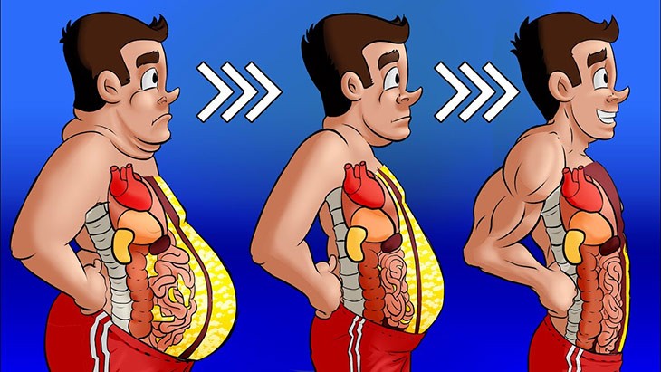 چربی چهکاری انجام میدهد؟